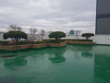 세신빌딩(구, 도선동코스모타워) 건물 사진