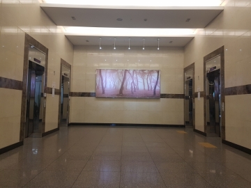세신빌딩(구, 도선동코스모타워) 건물 사진