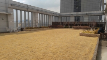 일진청담빌딩(구, 백영청담빌딩) 건물 사진